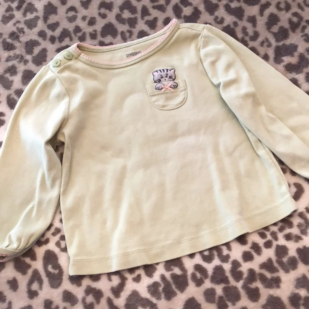 2008 Gymboree Light Green Cat Graphic Long Sleeve Top Size 2T
